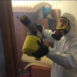 Уничтожение клопов в квартире. Тосно